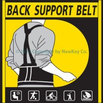 back-support1