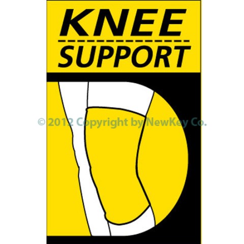 dai-dau-goi dai-dau-goi